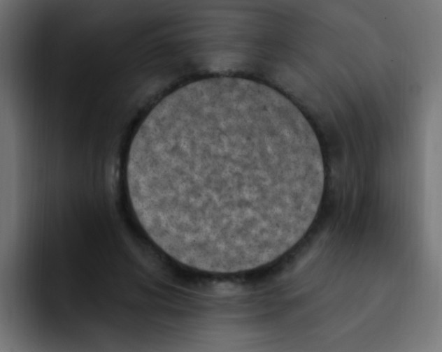 X0000092030592200710041103