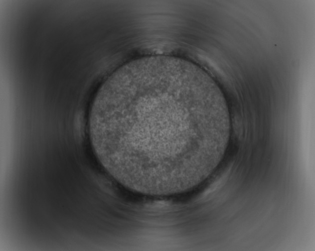 X0000092030594200710041103