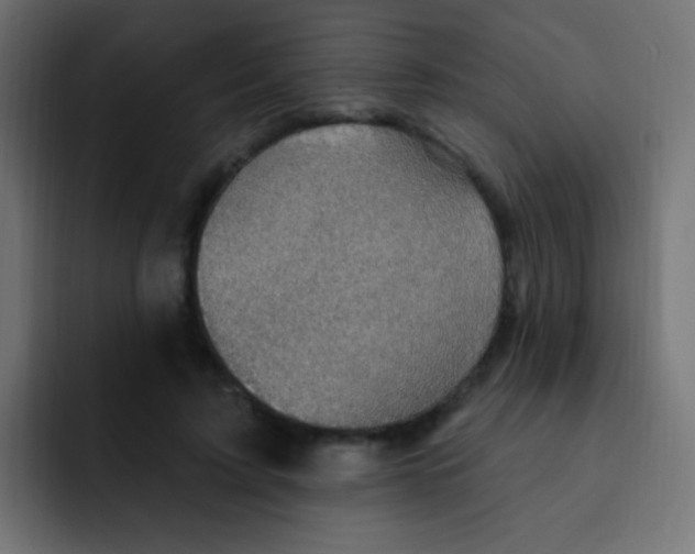 X0000092030595200710041103