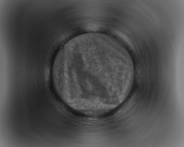 X0000092030596200710041103