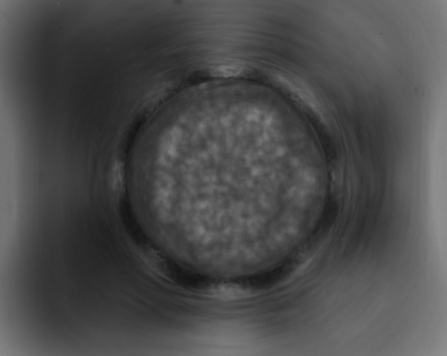 X0000092030598200710041103