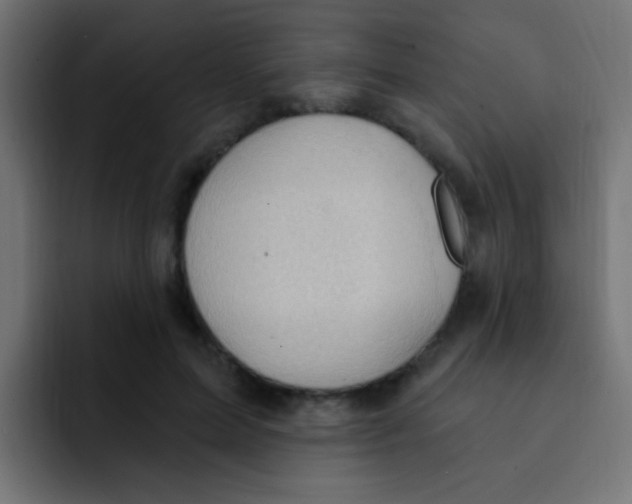 X0000092030599200710041103