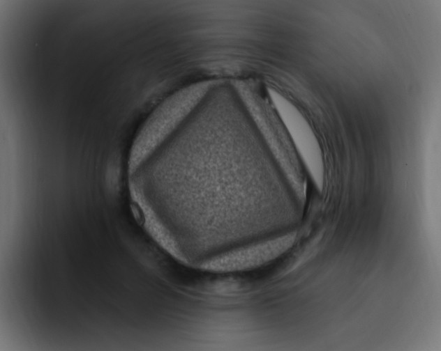 X0000092030600200710041103