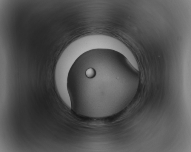 X0000092030604200710041103