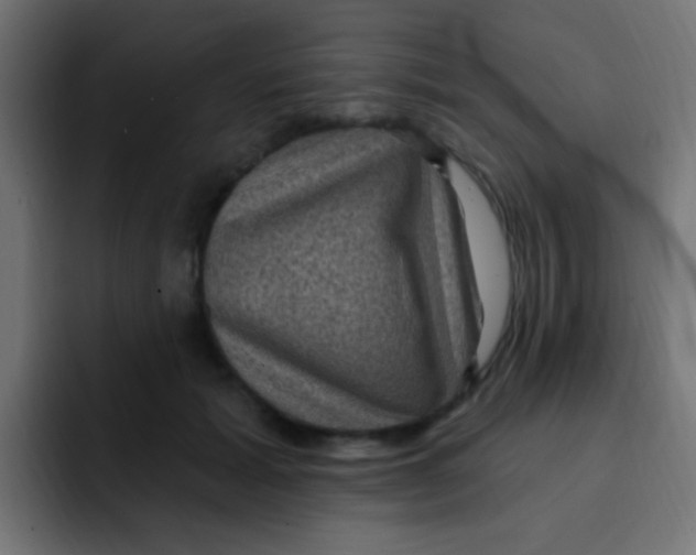 X0000092030605200710041103