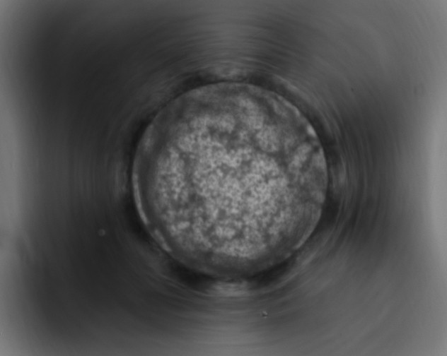 X0000092030606200710041103