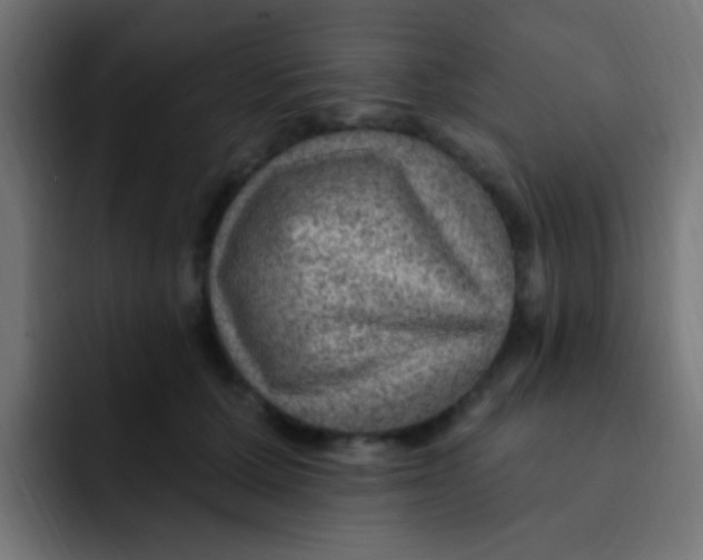 X0000092030607200710041103