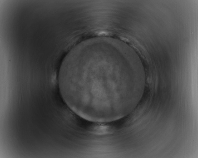 X0000092030610200710041102