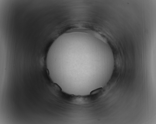 X0000092030611200710041102