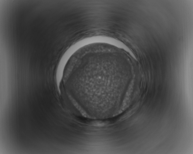 X0000092030613200710041102