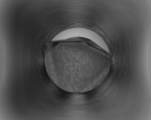 X0000092030617200710041102