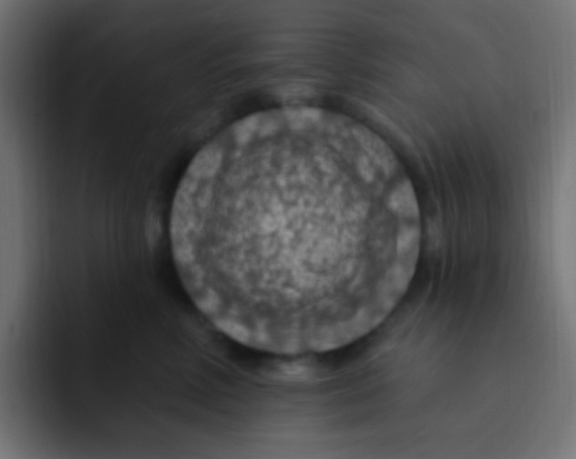 X0000092030618200710041102