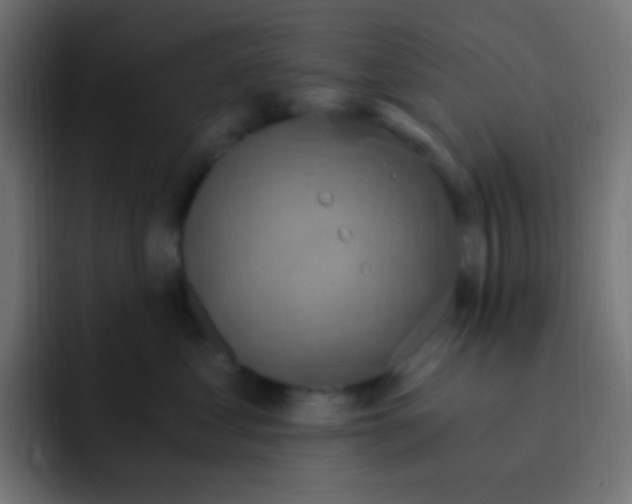 X0000092030621200710041102