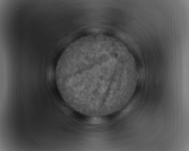 X0000092030623200710041102