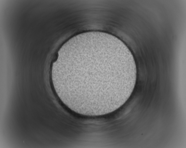 X0000092030625200710041102