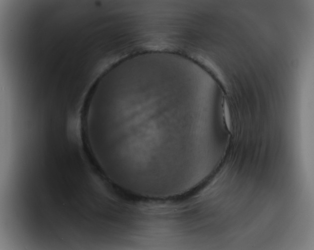 X0000092030626200710041102