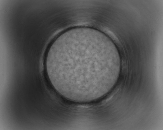 X0000092030628200710041102