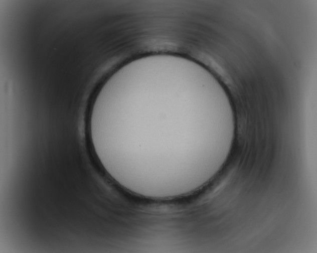 X0000092030629200710041102