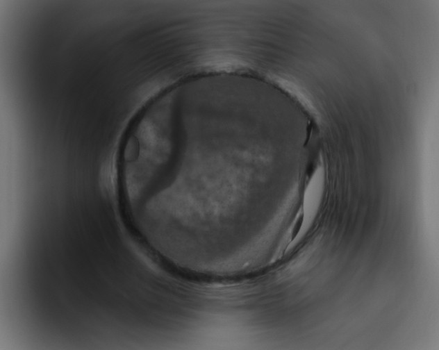 X0000092030630200710041102