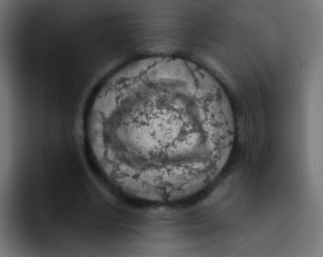 X0000092030634200710041102