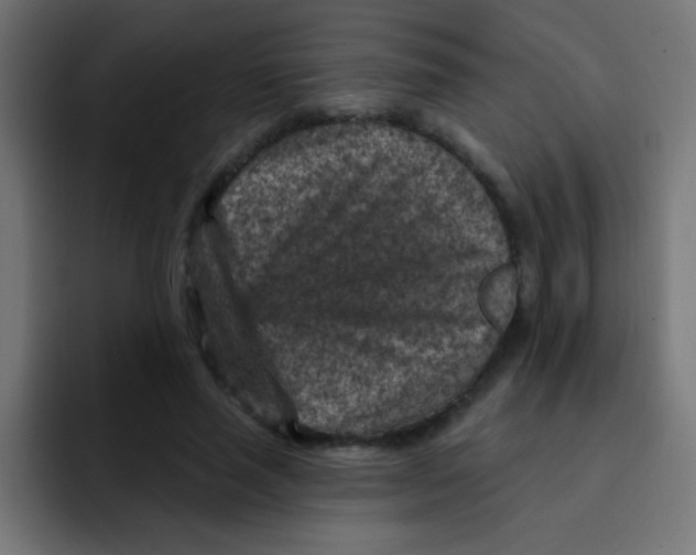 X0000092030637200710041102