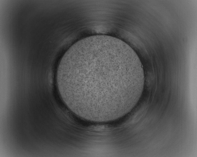 X0000092030639200710041102