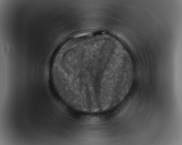 X0000092030640200710041102