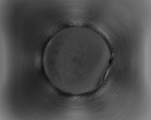 X0000092030641200710041102