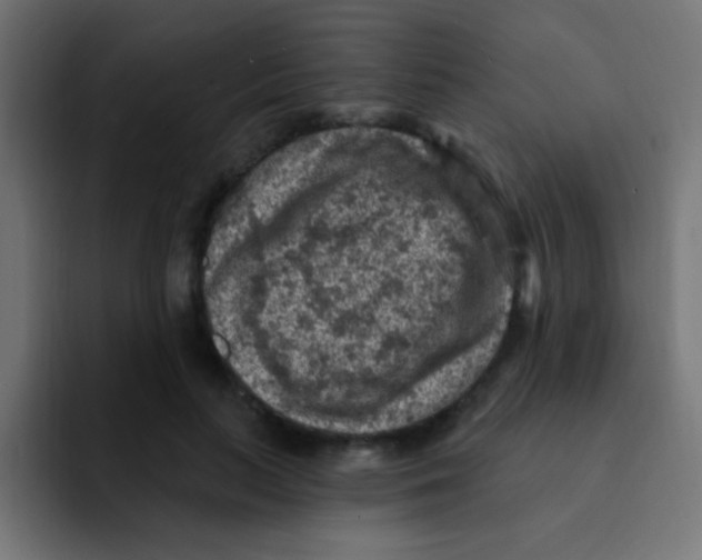 X0000092030647200710041102