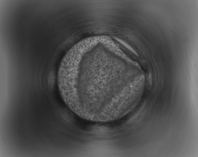 X0000092030648200710041102