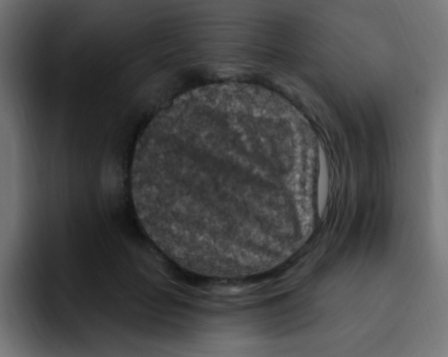 X0000092030653200710041102