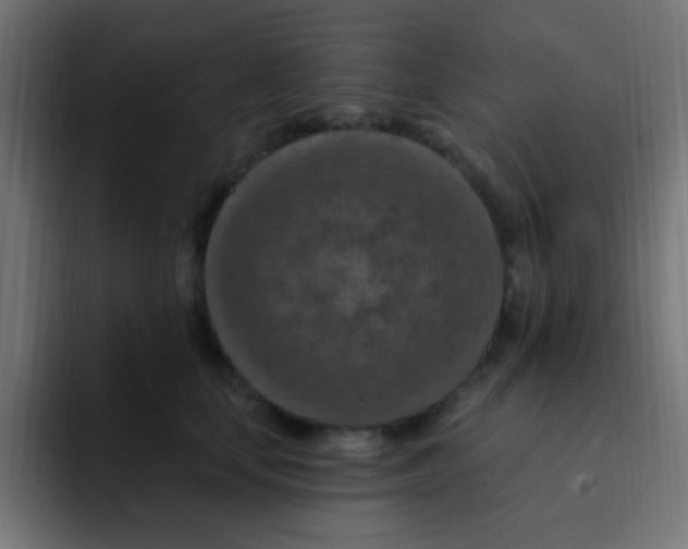 X0000092030659200710041102