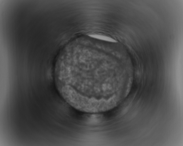 X0000092030663200710041102