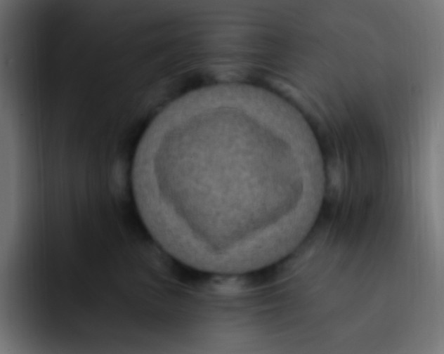 X0000092030667200710041102