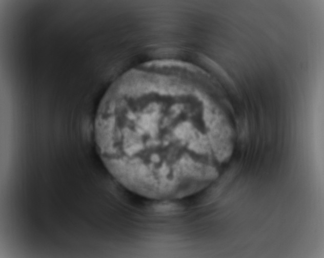 X0000092030669200710041102