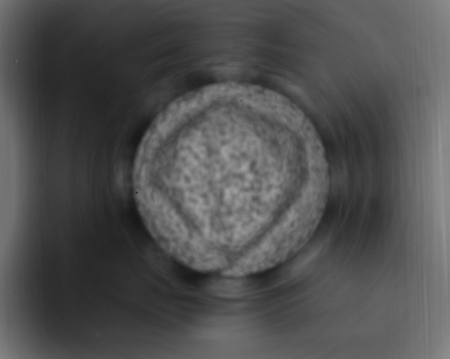 X0000092030671200710041102