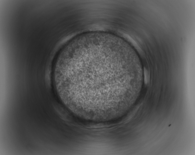 X0000092030675200710041102