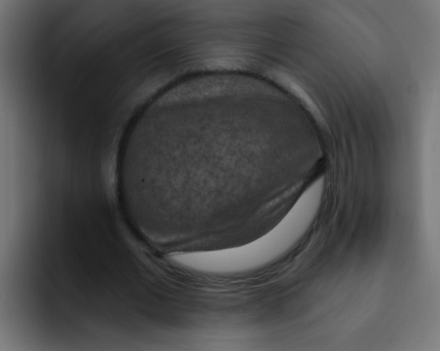 X0000092030677200710041102