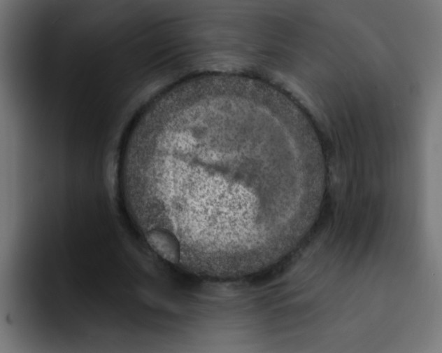 X0000092030679200710041102