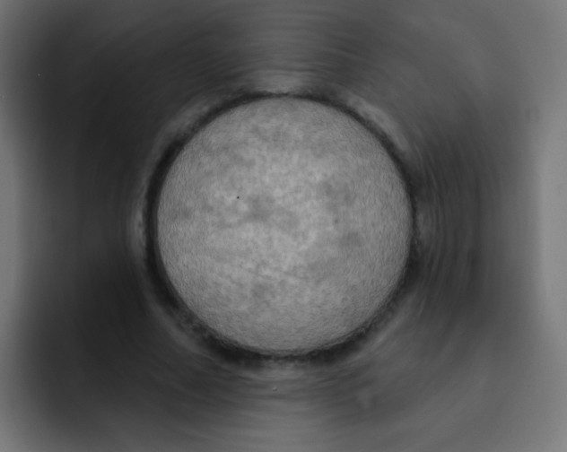 X0000092030682200710041102