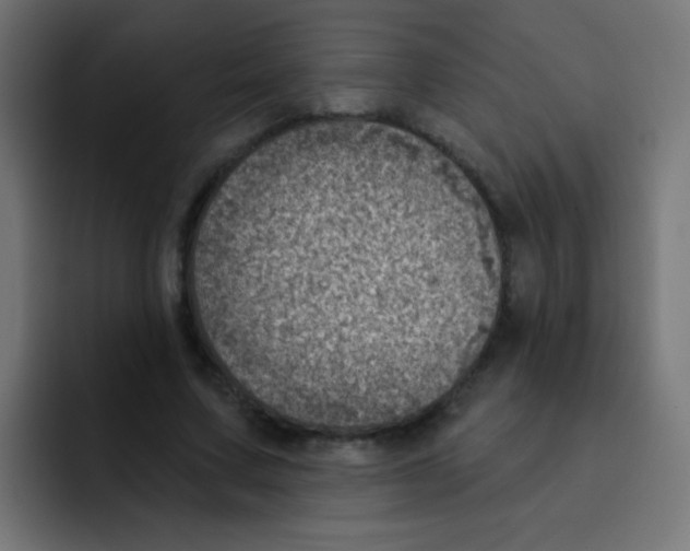 X0000092030683200710041102