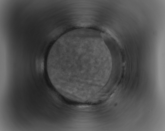 X0000092030685200710041102