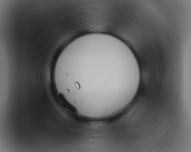 X0000092030686200710041102