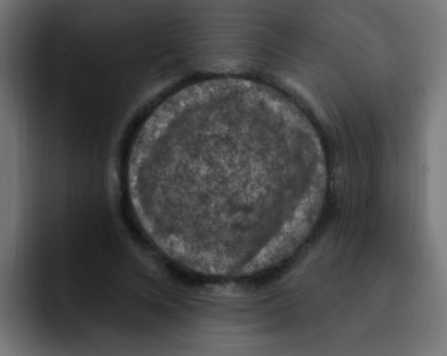 X0000092030688200710041102