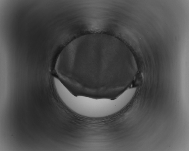 X0000092030689200710041102