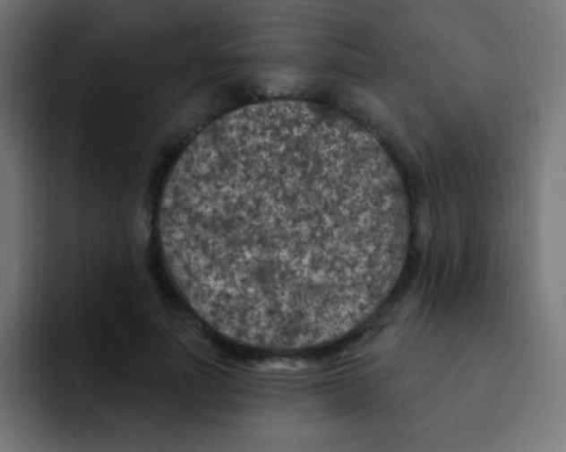 X0000092030691200710041102