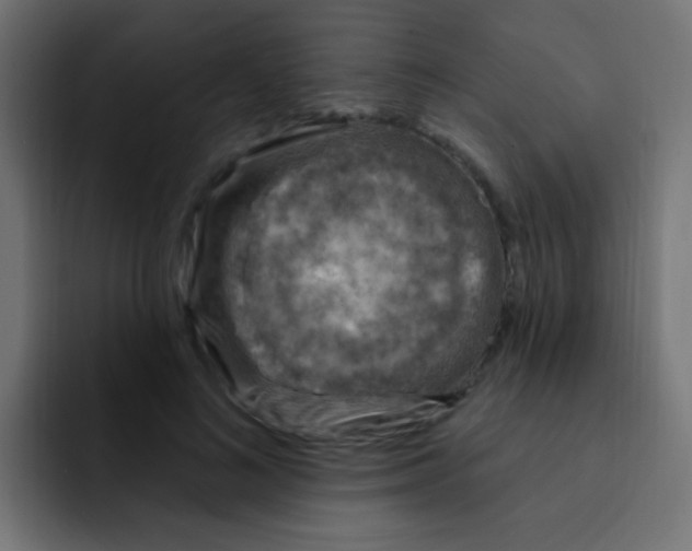 X0000092030692200710041102