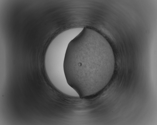 X0000092030693200710041102