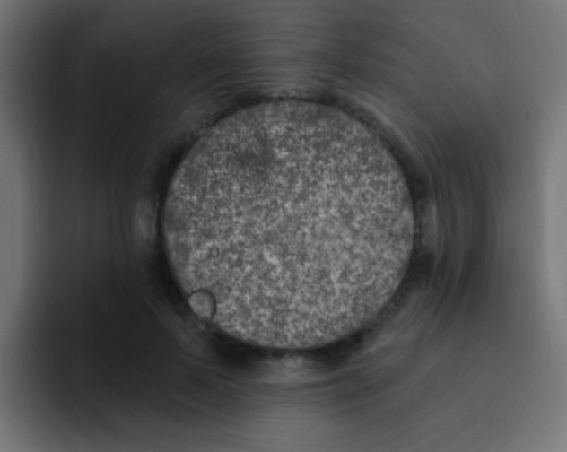 X0000092030695200710041101