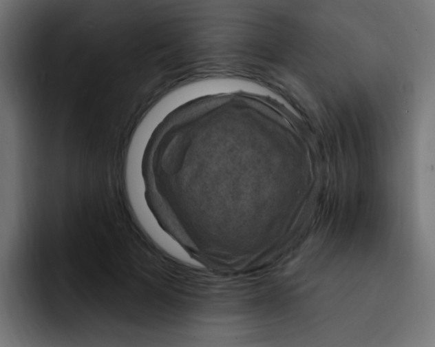 X0000092030697200710041101